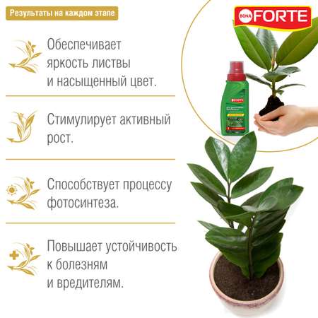 Жидкое минеральное удобрение Bona Forte Красота Для декоративно-лиственных растений 285 мл