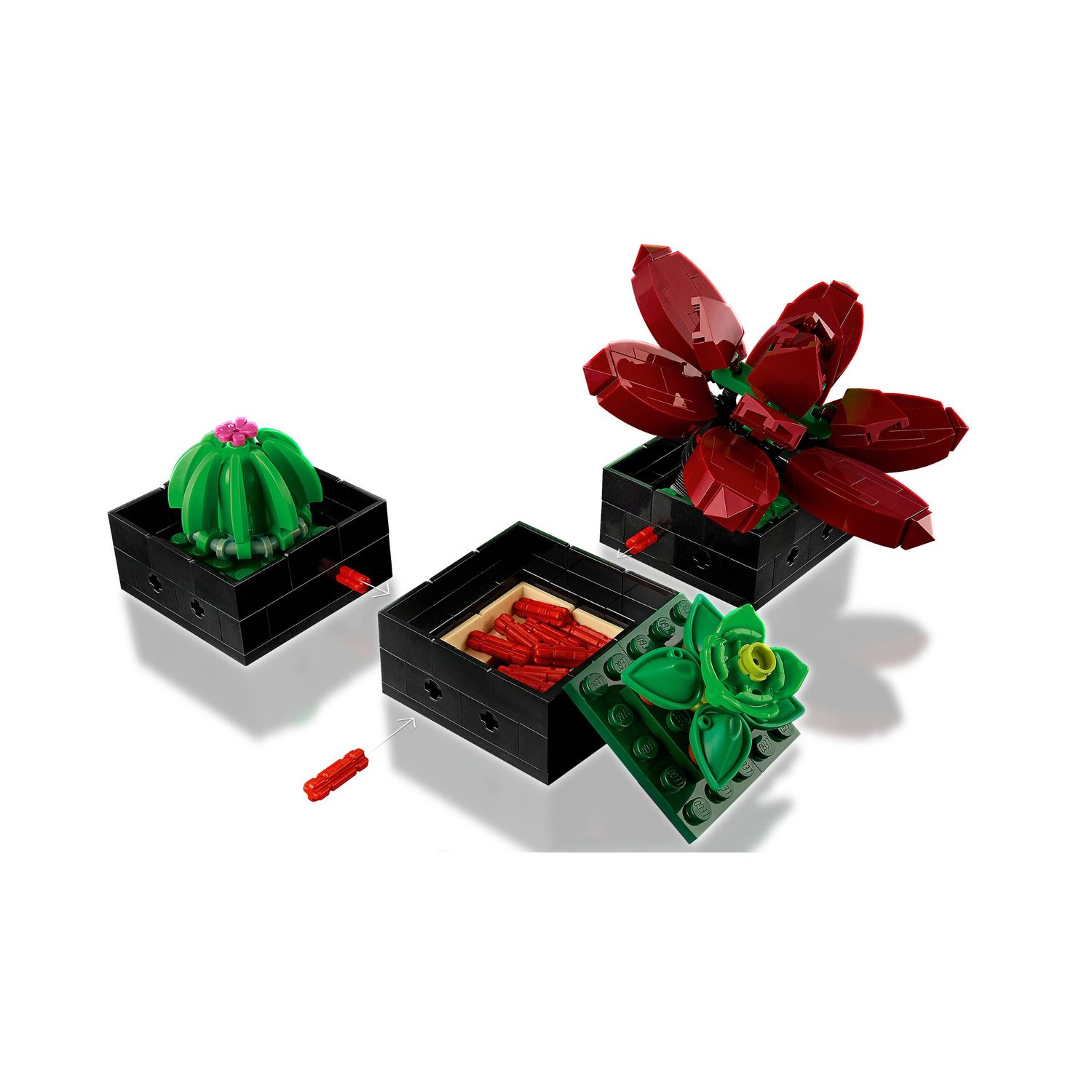 Конструктор LEGO Icons Суккуленты блочный - фото 6