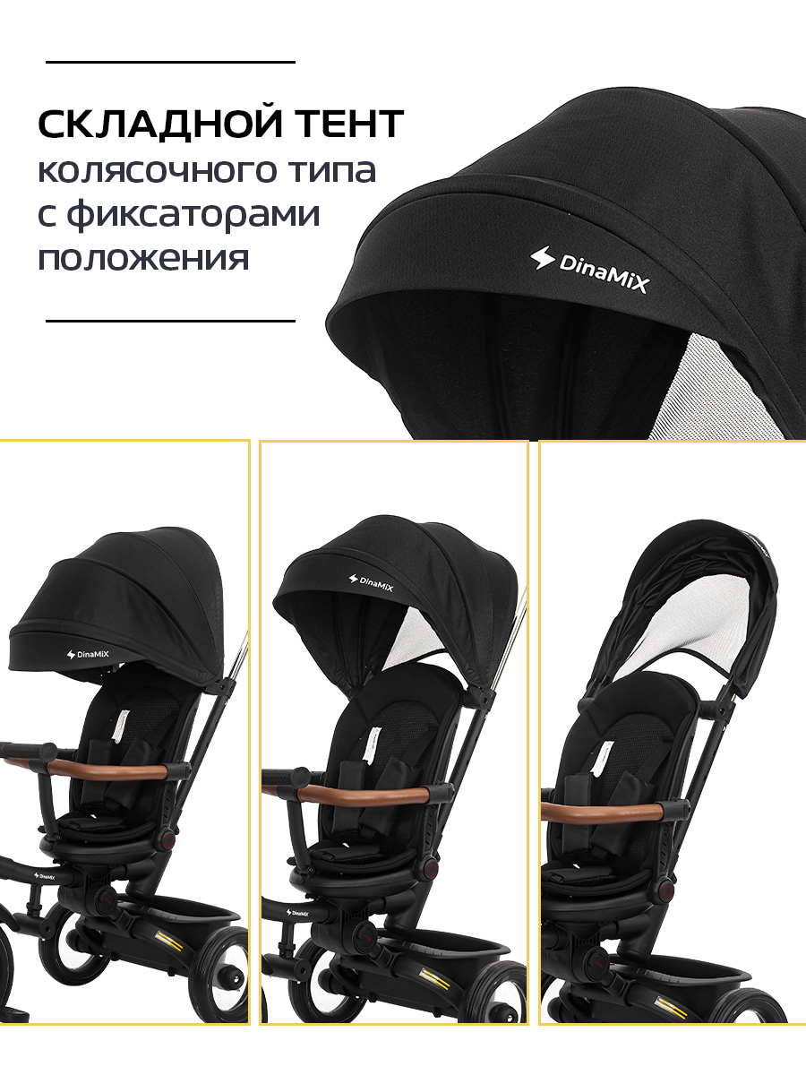 Трехколесный велосипед DinaMiX 10 дюймов - фото 7