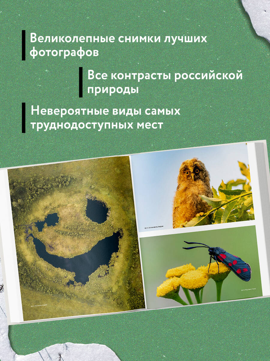 Книга БОМБОРА Неповторимая Россия. Природное наследие нашей страны в фотографиях - фото 2