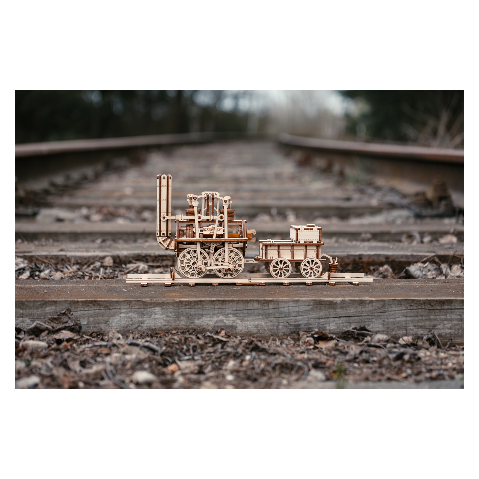 Конструктор Eco Wood Art Локомотив Поезд деревянный - фото 9