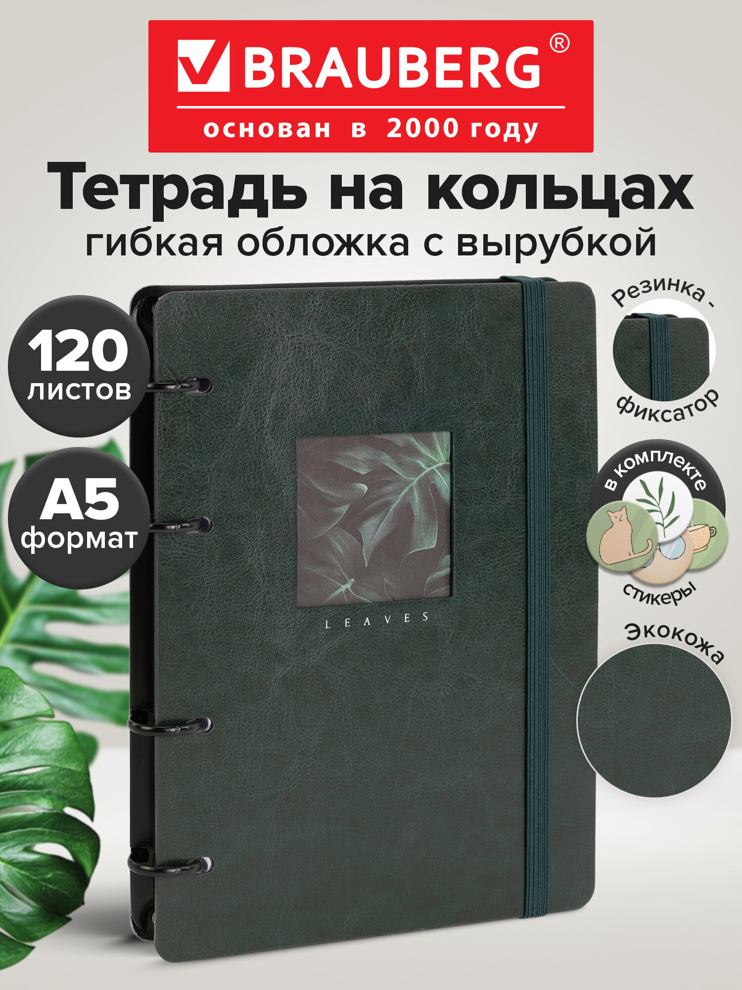 Тетрадь со сменным блоком Brauberg клетка 120 лист. - фото 1