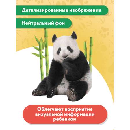 Книга Феникс Премьер Животные жарких стран. Фотоброшюра 0+