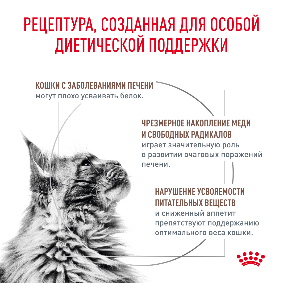 Корм для кошек ROYAL CANIN Hepatic HF 26 лечение печени 2кг - фото 2