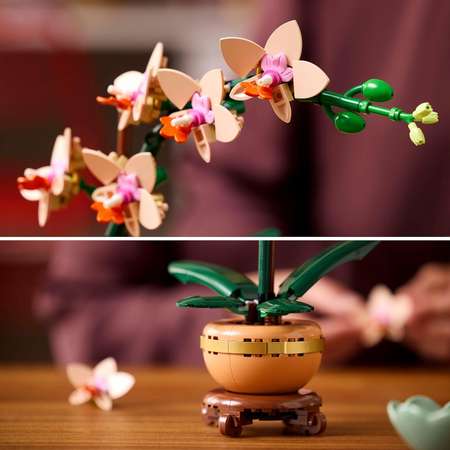 Конструктор LEGO Botanicals Мини-орхидея блочный