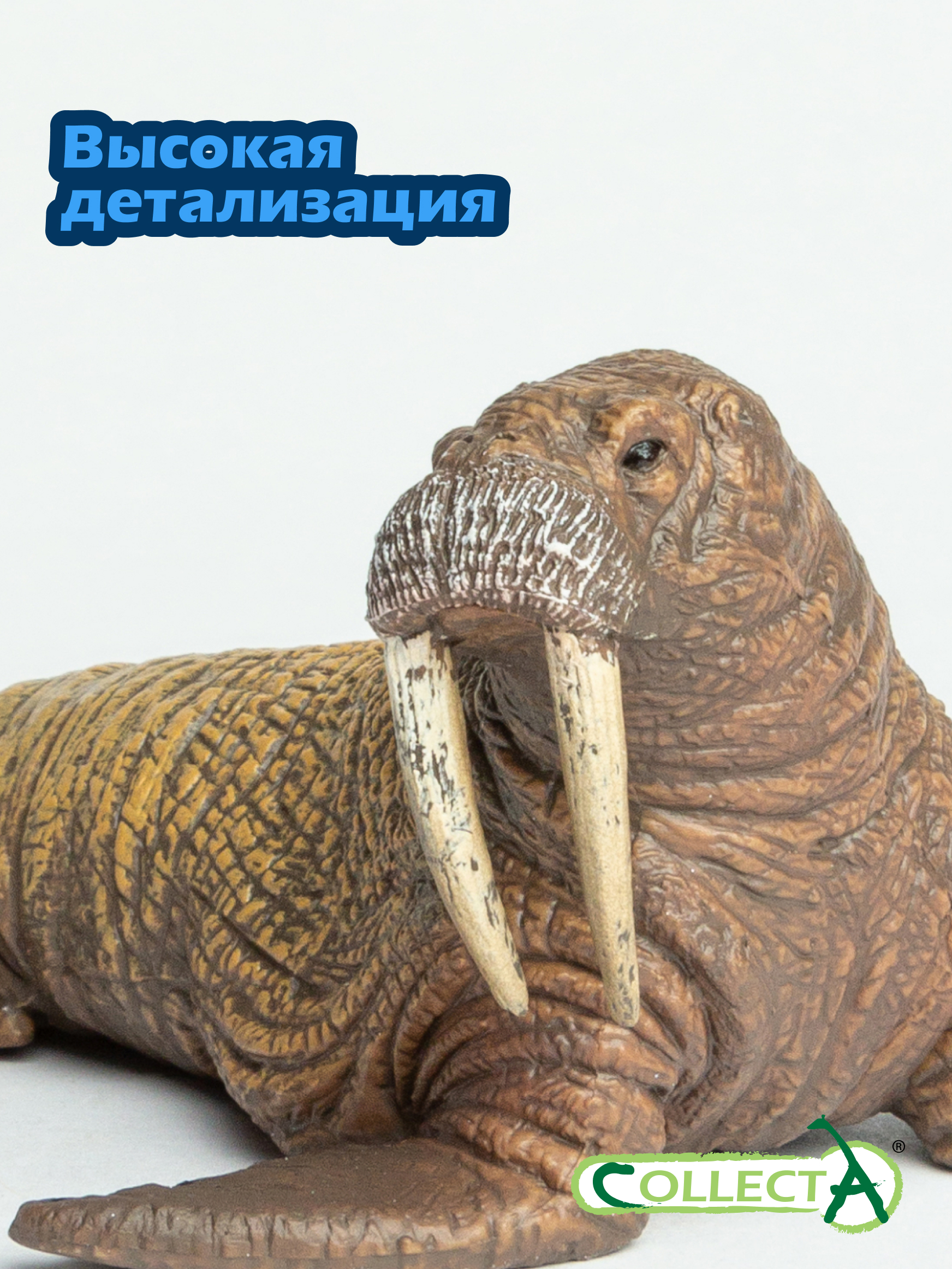 Фигурка Collecta Морж - фото 3