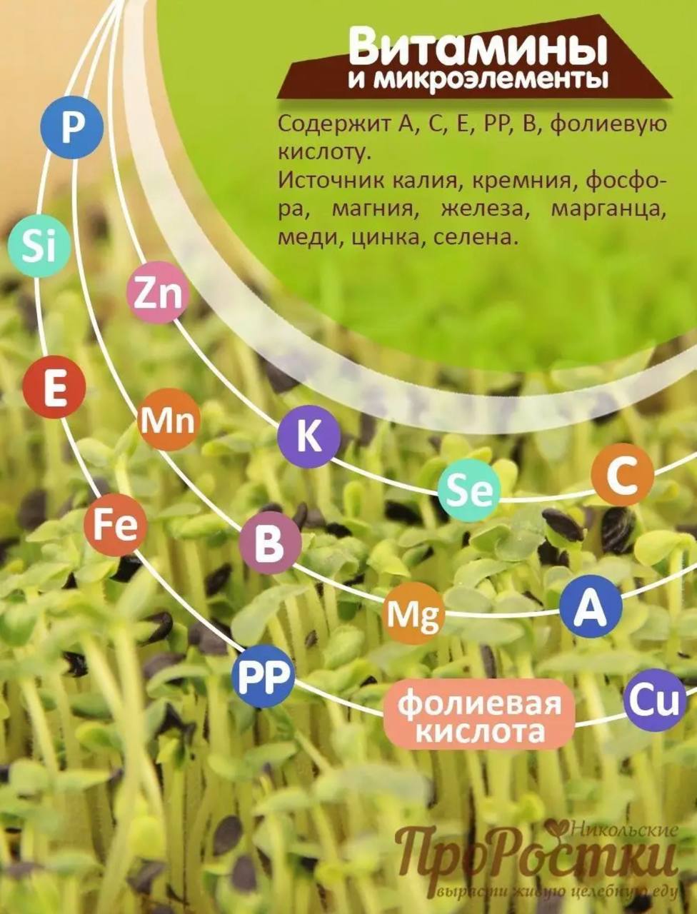 Семена для микрозелени MegaMedia кунжут черный - фото 5