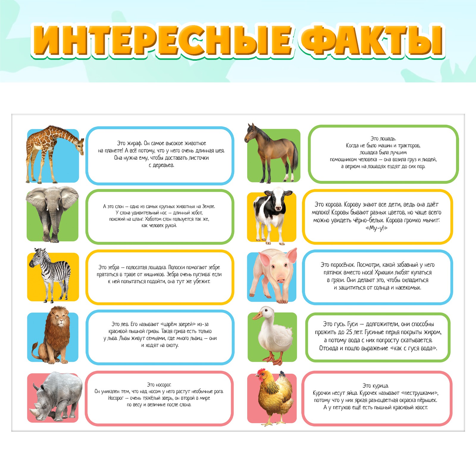 Настольная игра IQ-ZABIAKA Весёлые животные - фото 5