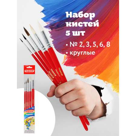 Кисть Пифагор 5 шт. (коза, белка, пони)