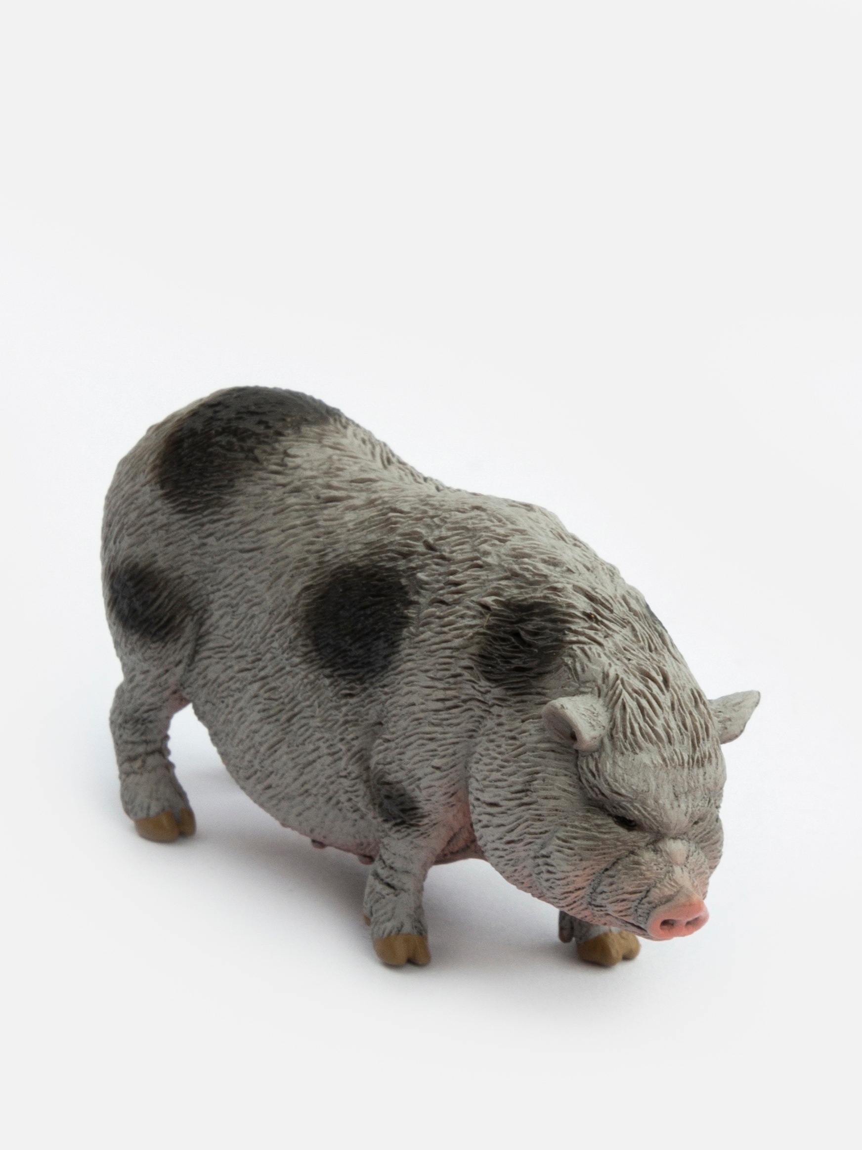 Фигурка Collecta Вьетнамская вислобрюхая свинья - фото 1