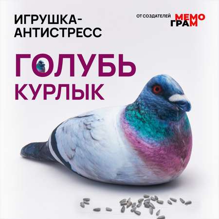 Сквиш Мемограм