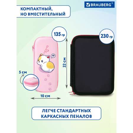 Пенал Brauberg