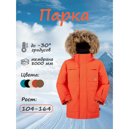 Парка GUSTI