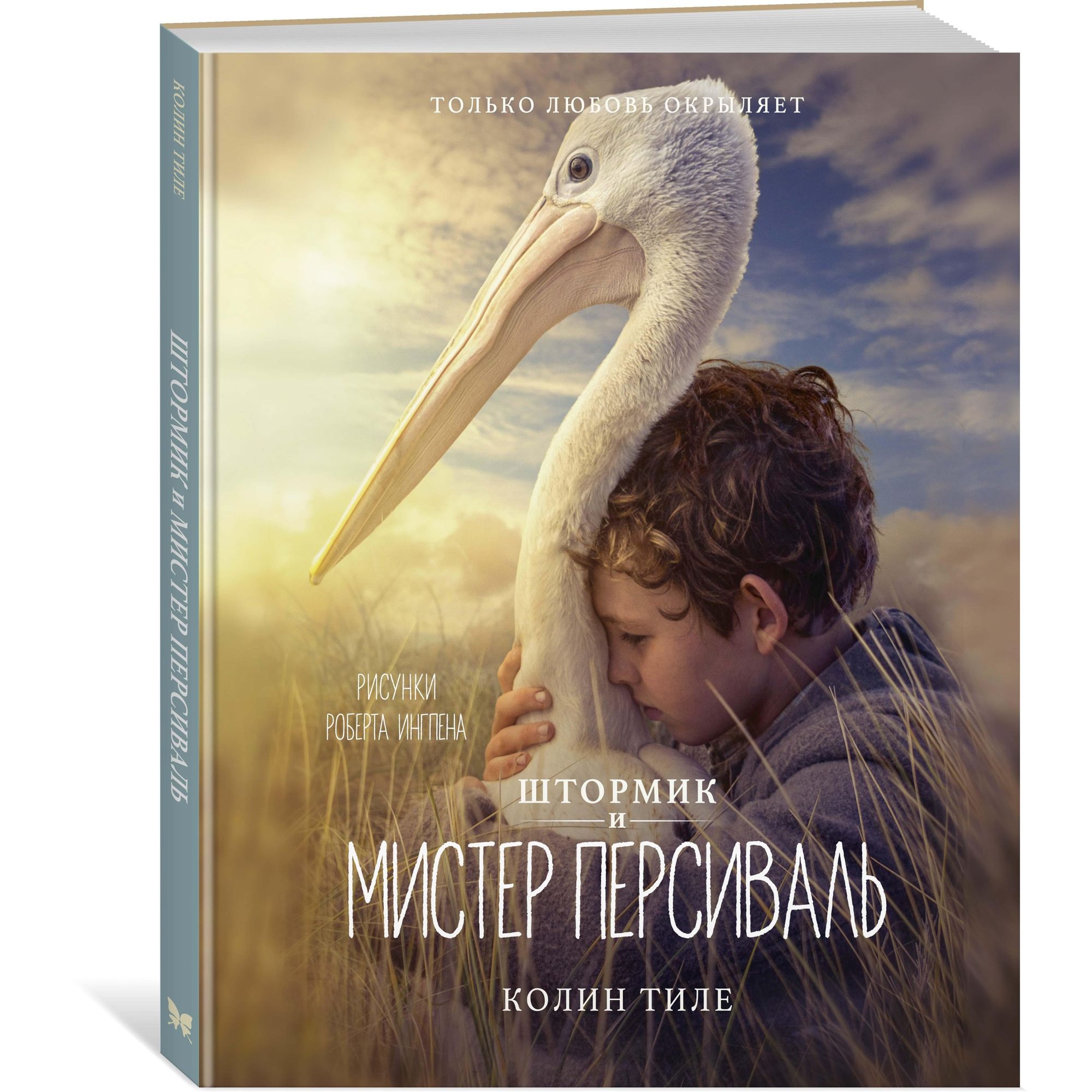 Книга МАХАОН Штормик и мистер Персиваль. Книги с иллюстрациями Роберта Ингпена - фото 2