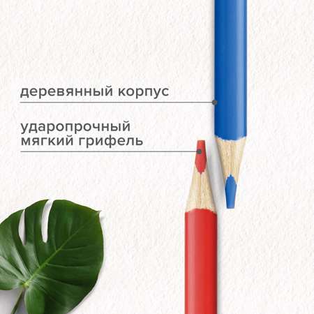 Карандаши цветные Brauberg 50 шт.