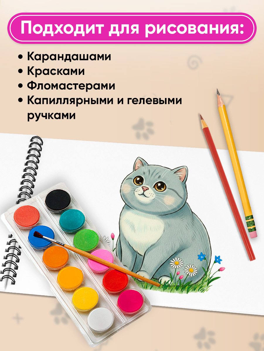 Альбом Prof-Press А4 40 лист. 2 шт. - фото 4