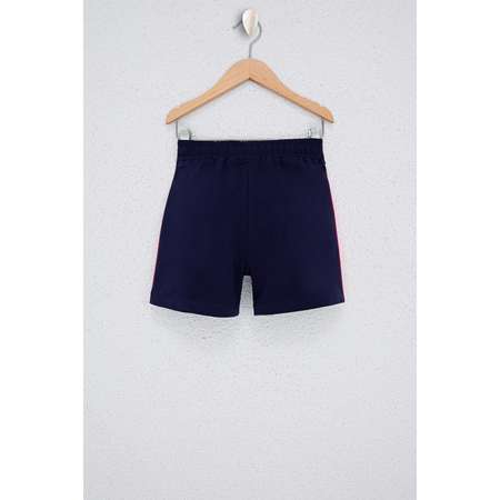 Шорты U.S. Polo Assn