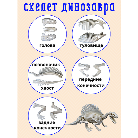 Набор для опытов VSEVERA Эксперименты с динозавром