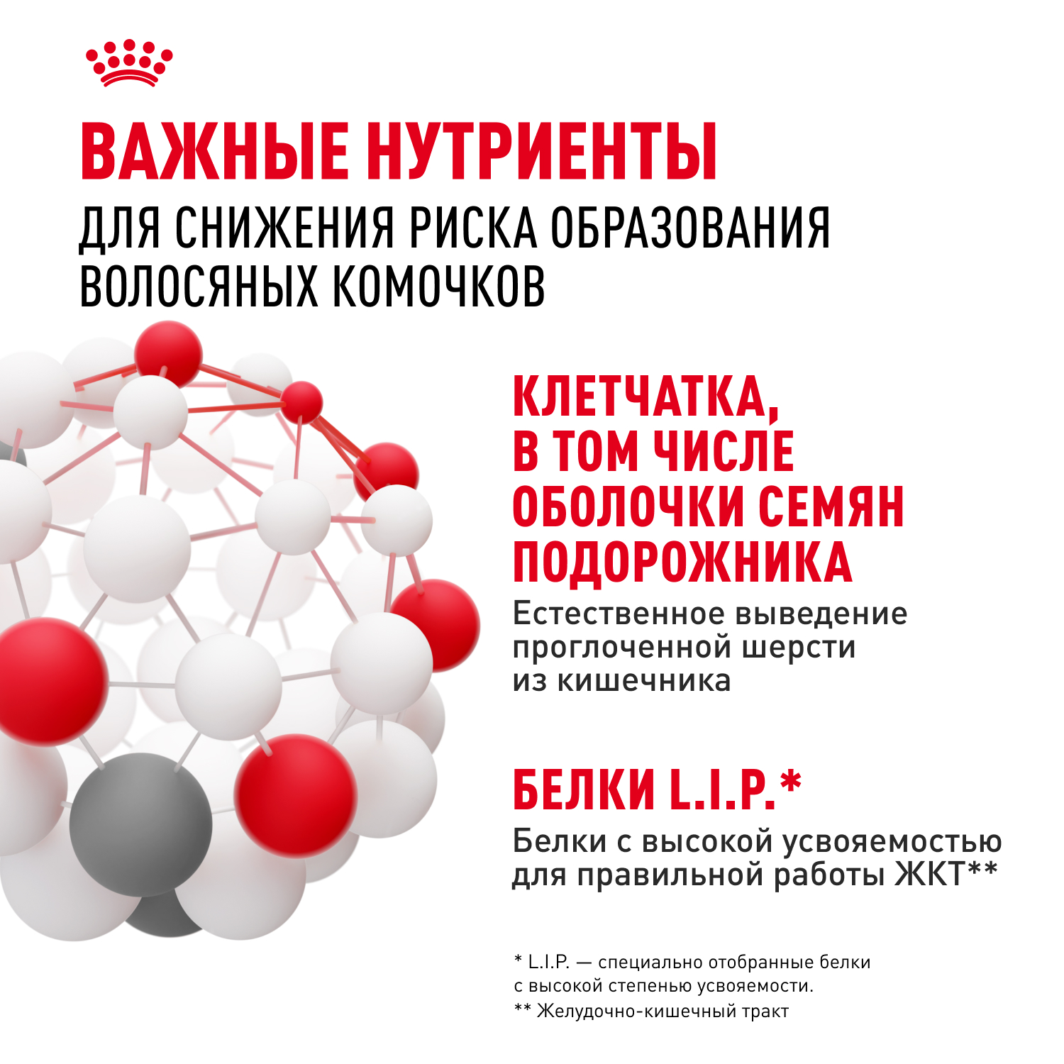 Корм для кошек ROYAL CANIN Hairball care для снижения риска образования волосяных комочков 85г - фото 6