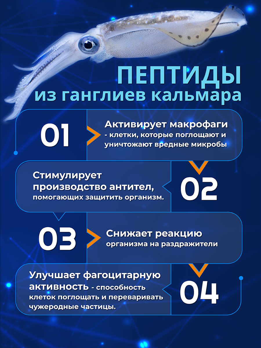 Морские пептиды Доктор Море / пептидный комплекс при простудных заболеваниях/ 30 капсул - фото 4