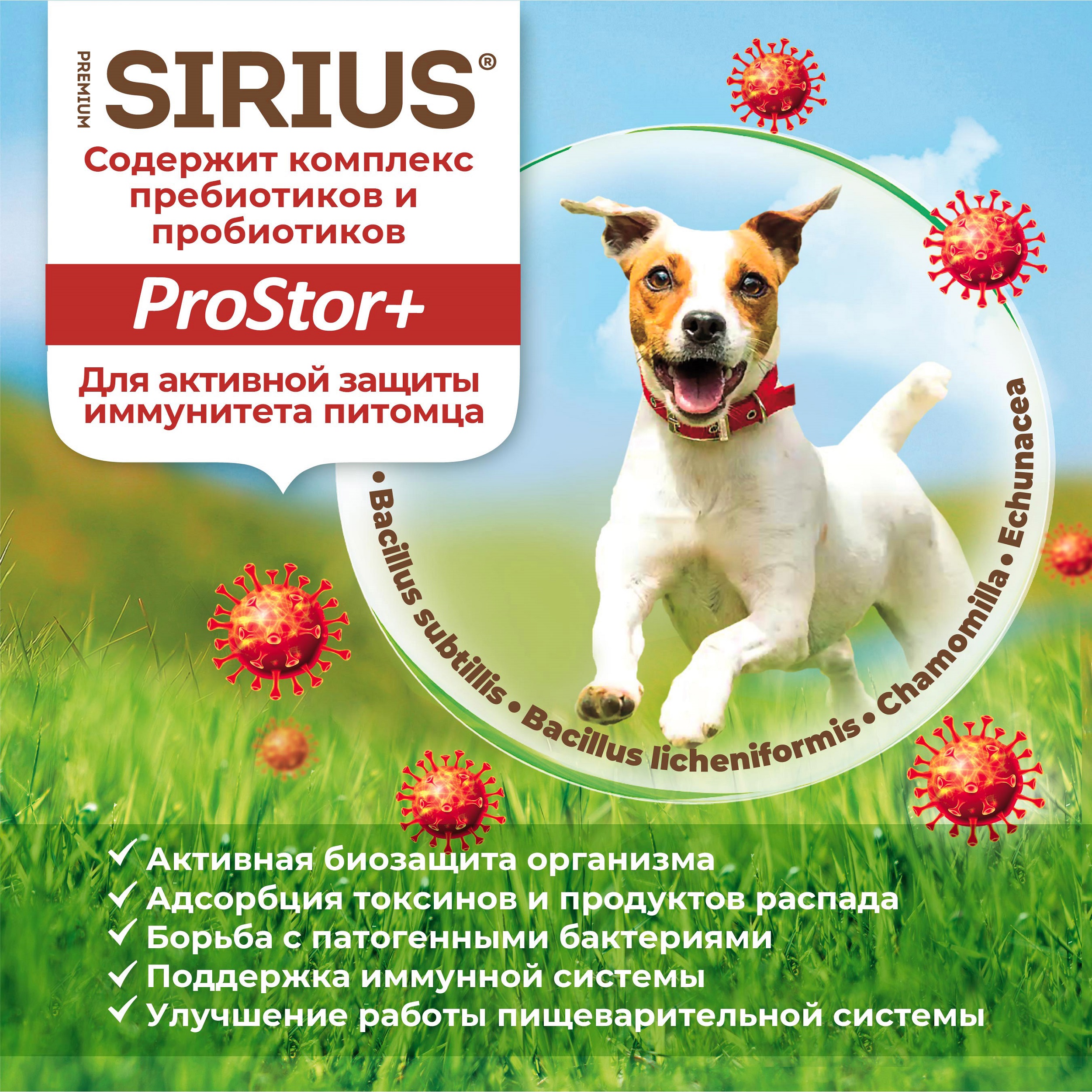 Корм для собак SIRIUS взрослых ягненок-рис 2кг - фото 6