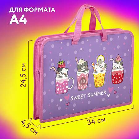 Папка с ручками Юнландия