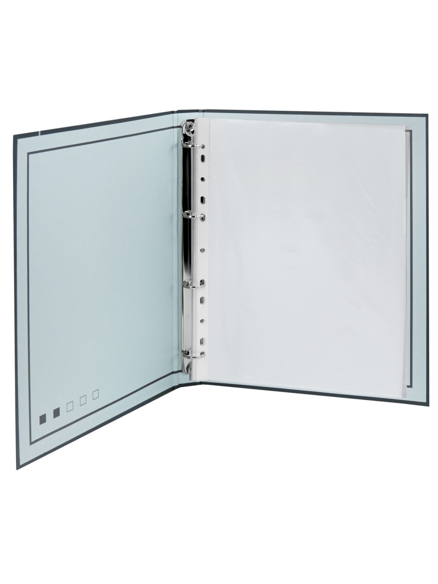 Портфолио школьника Brauberg папка А4 на кольцах 20 файлов для девочки и мальчика - фото 3