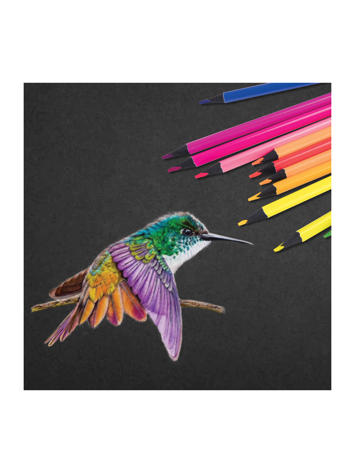 Карандаши цветные Brauberg 12 шт. - фото 13