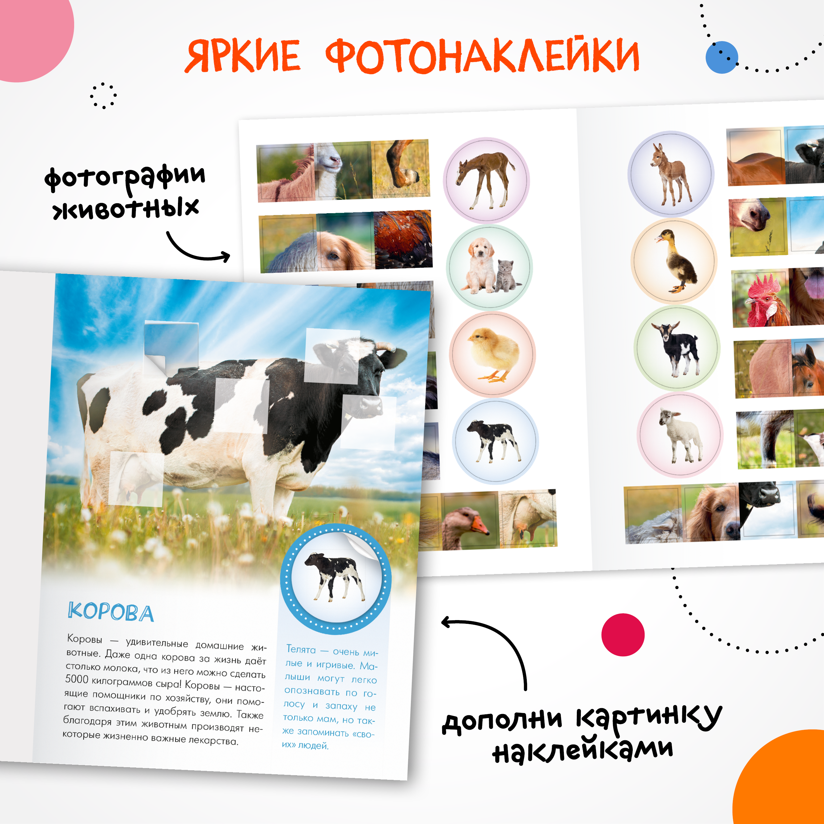 Набор МОЗАИКА kids Мир животных с наклейками 4 книги с наклейками - фото 6