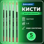 Кисть Brauberg 5 шт. (синтетика)