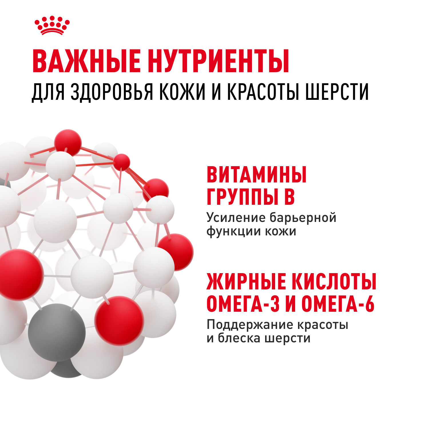 Корм для собак ROYAL CANIN Medium Dermacomfort средних пород склонных к кожным раздражениям и зуду 3кг - фото 6
