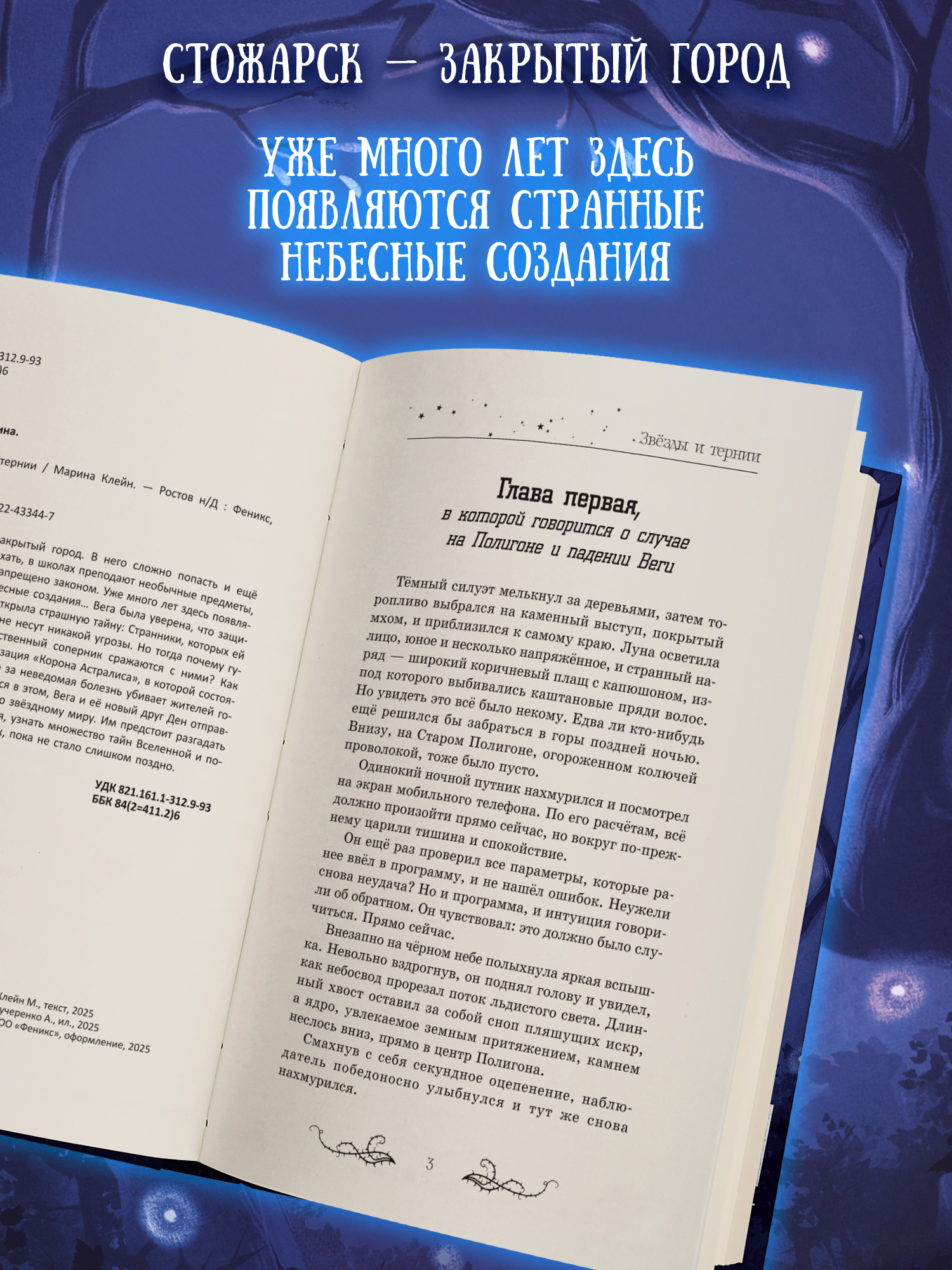 Книга ОКно Звезды и тернии - фото 4