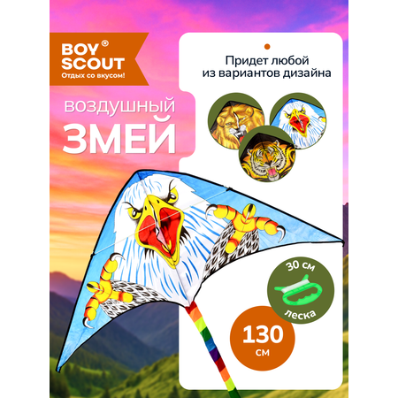 Воздушный змей BoyScout Воздушный змей