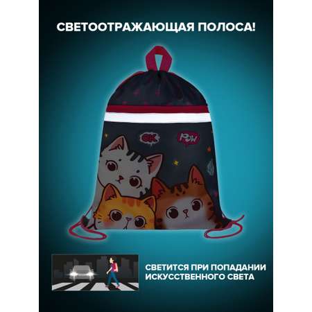 Мешок для обуви Brauberg