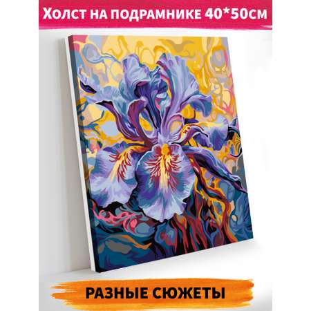 Картина по номерам Hobby Paint Изысканный цветок в ассортименте