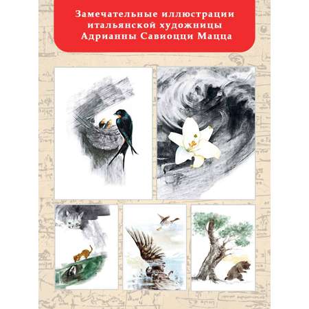 Книга АСТ Сказки и легенды