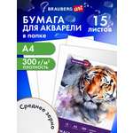 Художественная бумага Brauberg для акварели 15 лист.