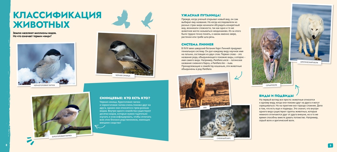 Книга Махаон S.O.S. Красная книга - фото 3