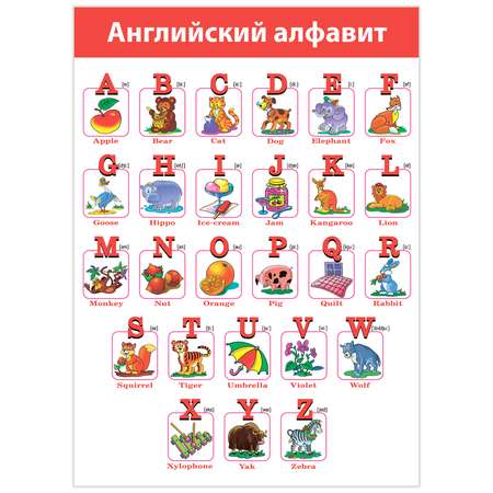 Плакат Дрофа-Медиа