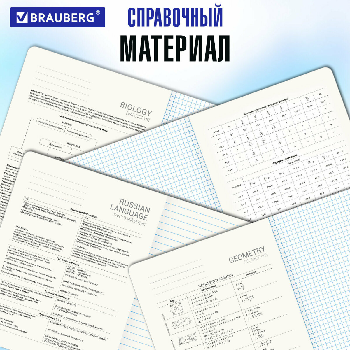 Тетрадь Brauberg 48 лист. 12 шт. - фото 4
