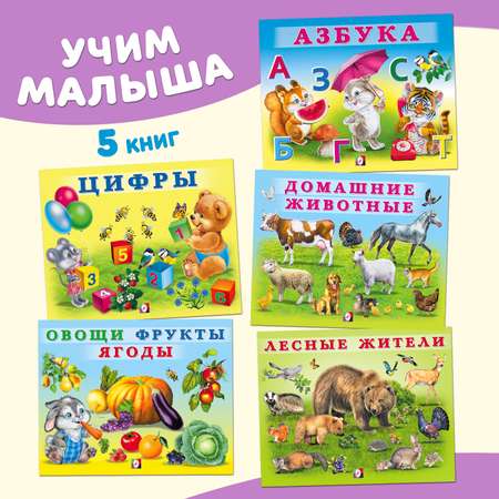 Книги Фламинго Учим малыша: буквы цифры животные растения Первые знания для детей и малышей