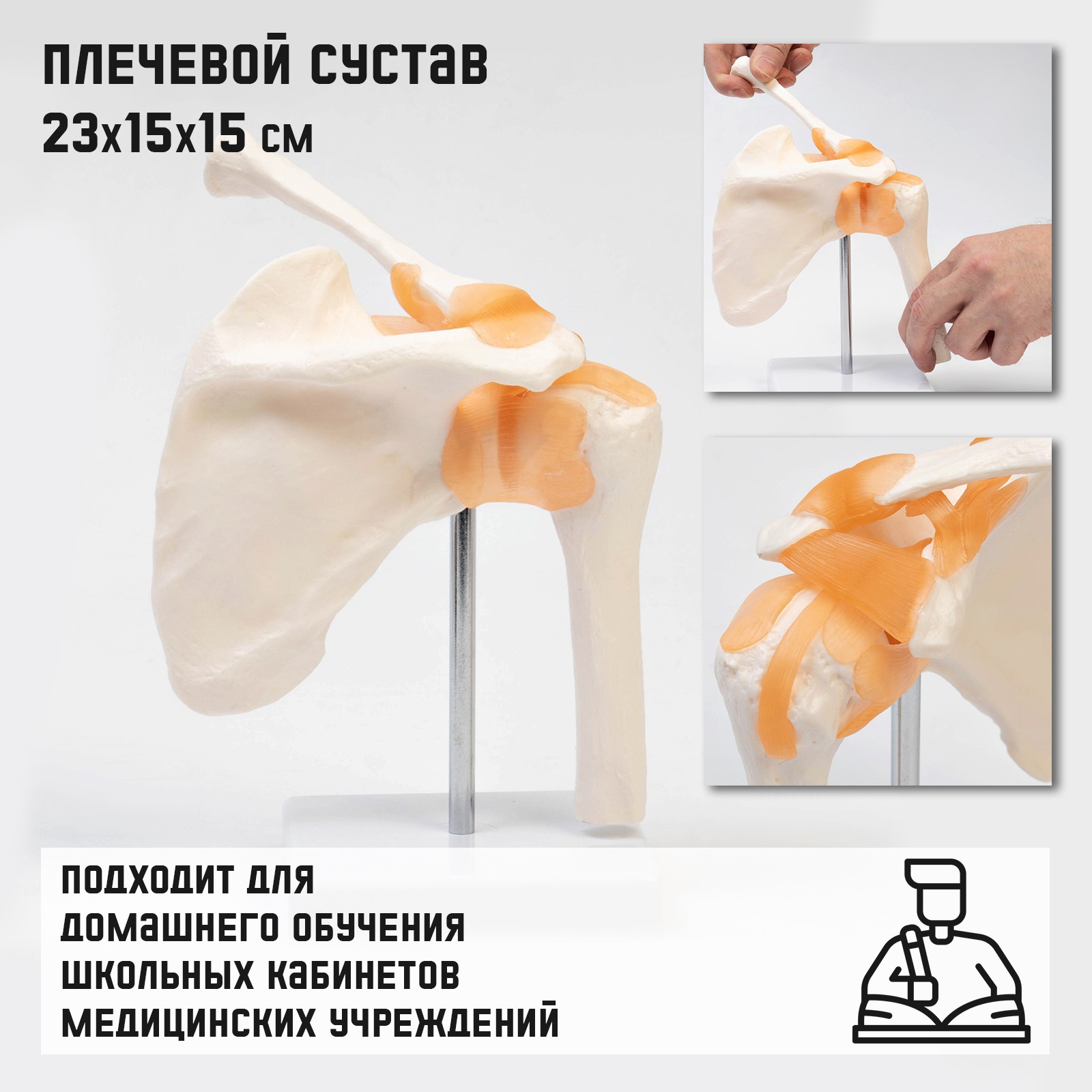 Наглядное пособие Sima-Land - фото 1