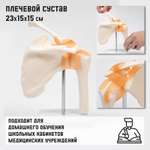 Наглядное пособие Sima-Land
