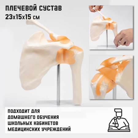 Наглядное пособие Sima-Land