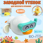 Игрушка BOSSTOYS Заводная в ассортименте