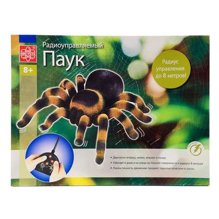 Паук РУ Edu Toys Тарантул
