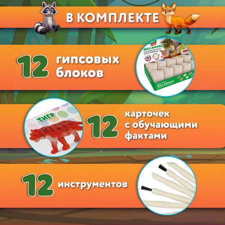 Набор для раскопок Brauberg