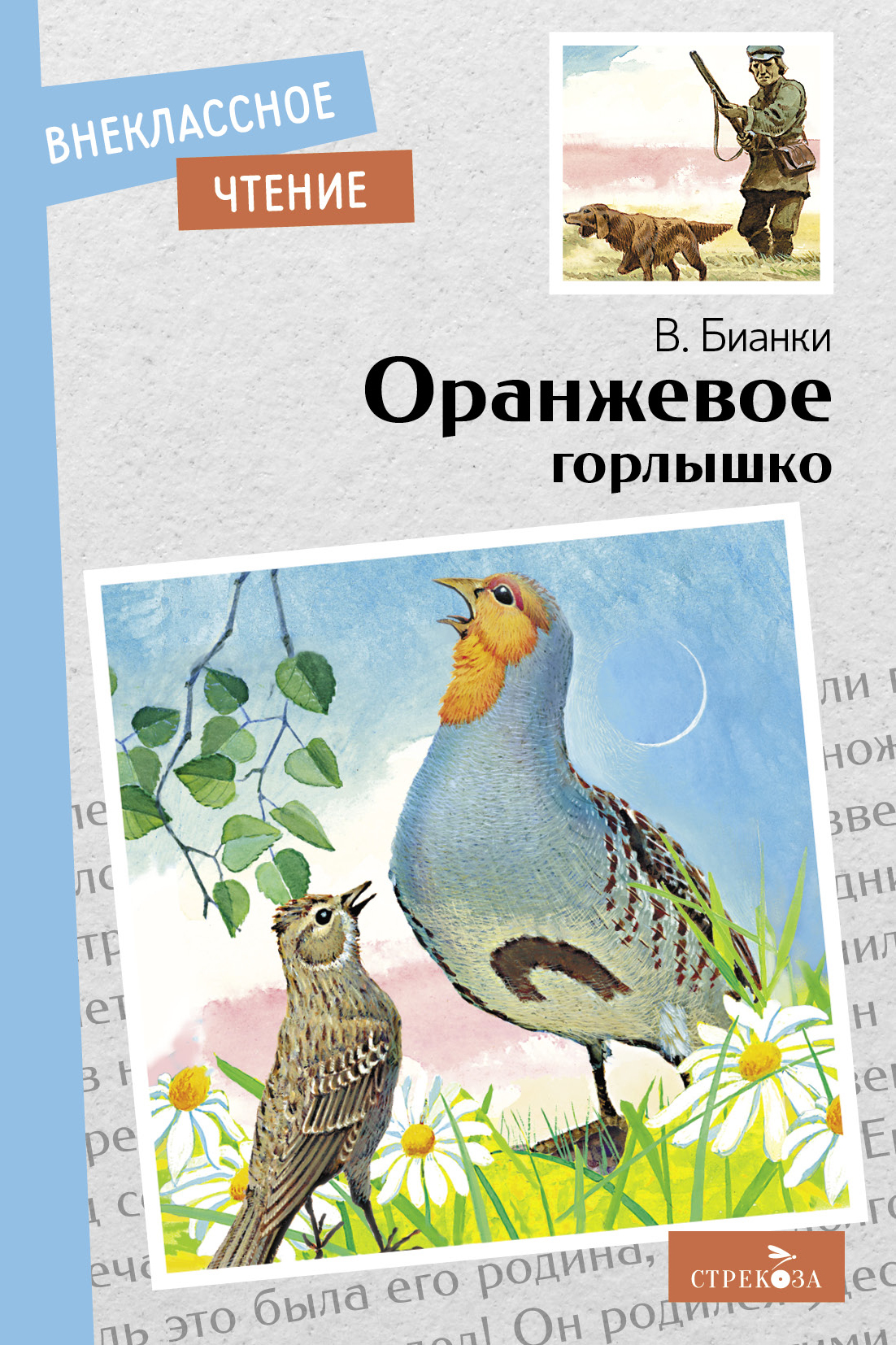 Книга СТРЕКОЗА Внеклассное чтение - фото 1