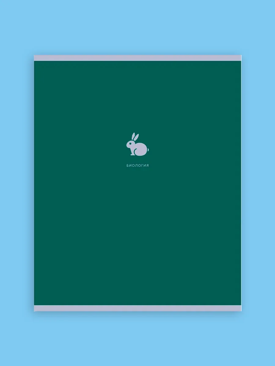 Тетрадь BG 48 лист. 12 шт. (Алгебра, Английский язык, Биология, Физика, География, Геометрия, Химия, Информатика, История, Литература, Обществознание, Русский язык) - фото 12