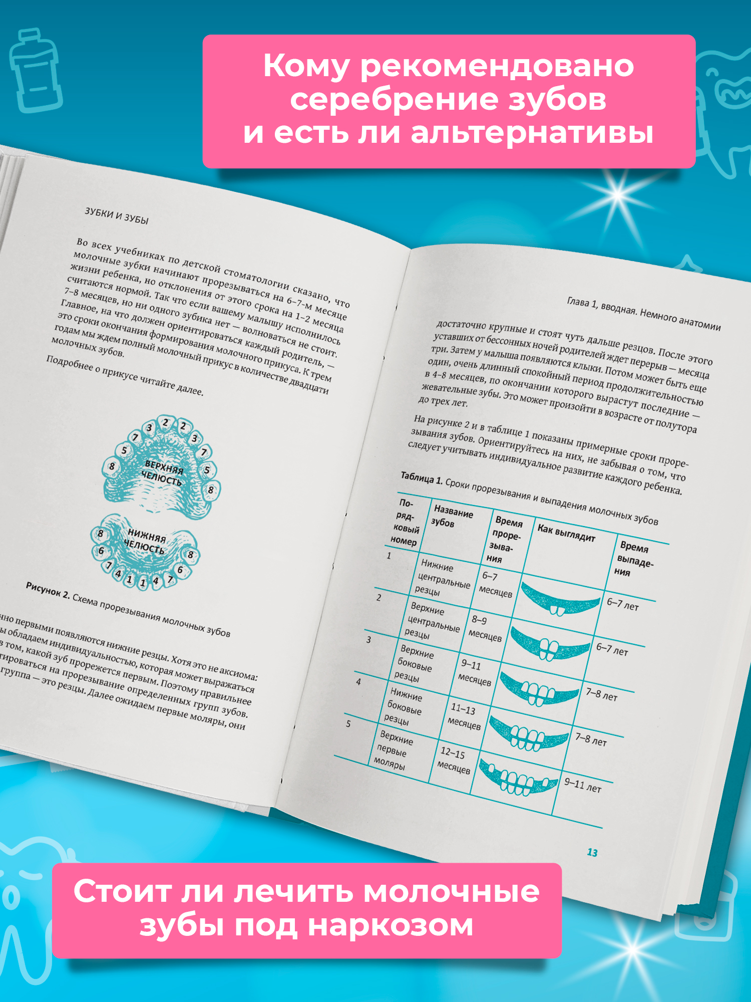 Зубки и зубы Феникc Книга - фото 6
